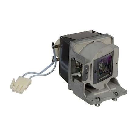 Ereplacements Lamp Optoma BL-FU190C-ER